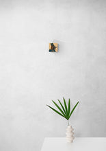 Load image into Gallery viewer, Portrait of a Steller's Jay