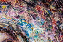 Load image into Gallery viewer, The Immaculate Deception