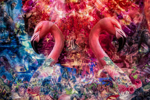 Load image into Gallery viewer, The Immaculate Deception