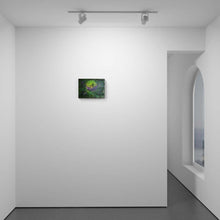 Load image into Gallery viewer, The Eryngium