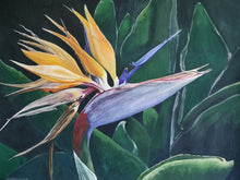 Load image into Gallery viewer, Bird of Paradise