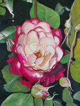 Load image into Gallery viewer, Rose Shadows