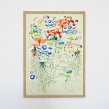 Load image into Gallery viewer, The Fungi Realm