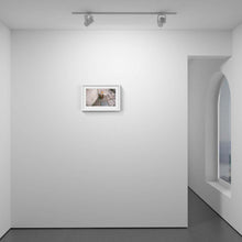 Load image into Gallery viewer, Newkie Brown