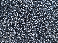 Load image into Gallery viewer, GRIS