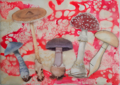 Hey, What's Up, Red?