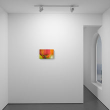 Load image into Gallery viewer, Tulip Sorbet