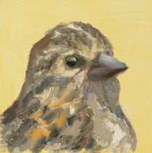 Load image into Gallery viewer, Pine Siskin (Spinus pinus)