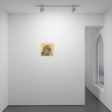 Load image into Gallery viewer, Pine Siskin (Spinus pinus)