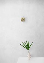 Load image into Gallery viewer, Pine Siskin (Spinus pinus)