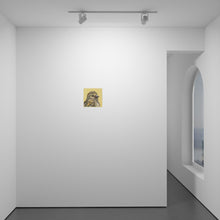 Load image into Gallery viewer, Pine Siskin (Spinus pinus)