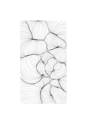 Fibre (1)