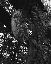 Load image into Gallery viewer, Valley 6 Drive-In: Curlicue