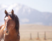 Load image into Gallery viewer, Charger