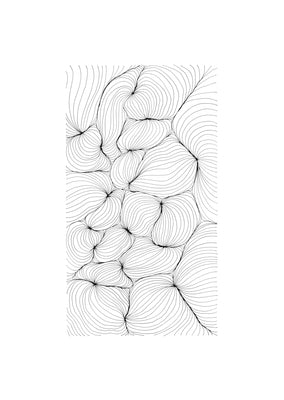 Fibre (2)