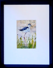 Load image into Gallery viewer, Black Necked Stilt