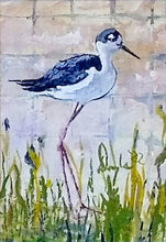 Load image into Gallery viewer, Black Necked Stilt