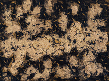 Load image into Gallery viewer, OURO