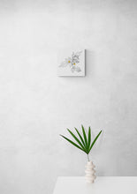 Load image into Gallery viewer, Salmonberry