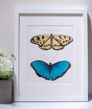 Load image into Gallery viewer, Butterfly Garden I