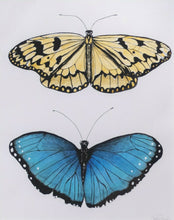 Load image into Gallery viewer, Butterfly Garden I