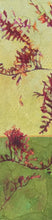 Load image into Gallery viewer, The firefly wakens; waken thou with me