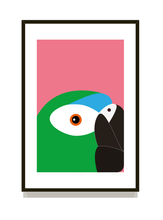 Load image into Gallery viewer, Severe macaw