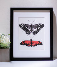 Load image into Gallery viewer, Butterfly Garden II