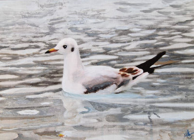 Seagull