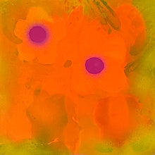 Load image into Gallery viewer, Flower Dream