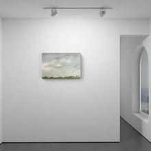 Load image into Gallery viewer, Soft Day