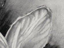 Load image into Gallery viewer, In a luscious folded petal, the infinite universe exists