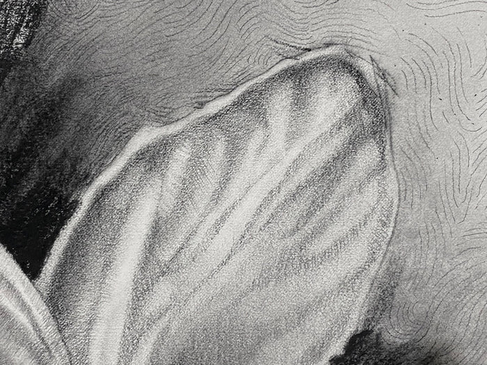 In a luscious folded petal, the infinite universe exists