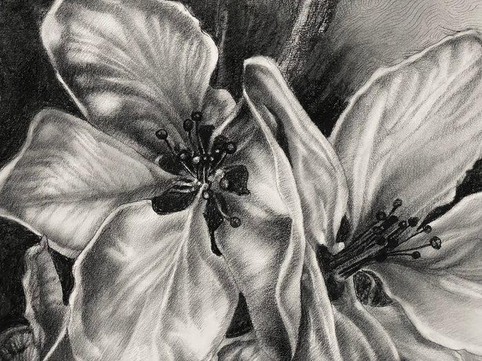 In a luscious folded petal, the infinite universe exists