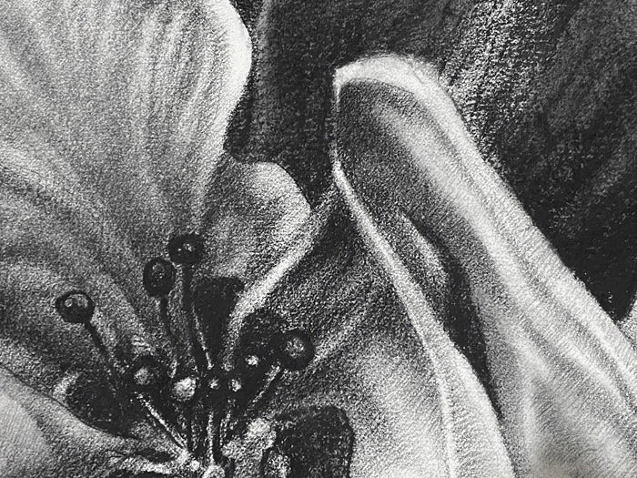 In a luscious folded petal, the infinite universe exists