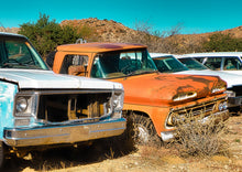 Load image into Gallery viewer, Rusted Muscle #2