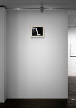 Load image into Gallery viewer, Waterfall