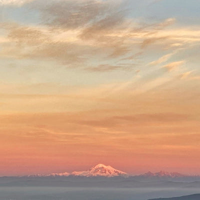 Belt of Venus