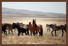 Load image into Gallery viewer, High alert