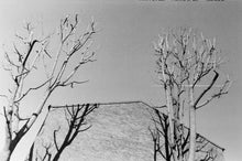 Load image into Gallery viewer, Branches