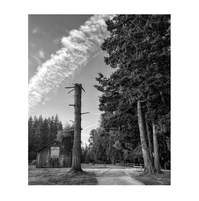 The little park I pass in the morning