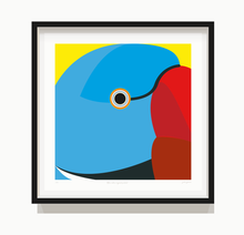 Load image into Gallery viewer, Blue Indian Ring-necked Parakeet