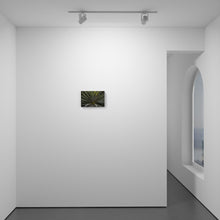 Load image into Gallery viewer, The Short and Curlies