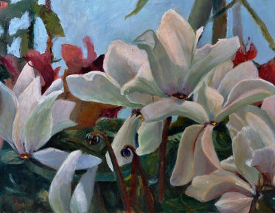 Cyclamen Dreams
