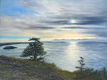 Load image into Gallery viewer, Sharpe Park