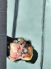 Load image into Gallery viewer, Garden Pods