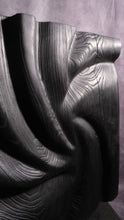Load image into Gallery viewer, Defiant