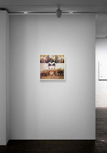 Load image into Gallery viewer, How We Fight