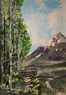 Mountain Outlook