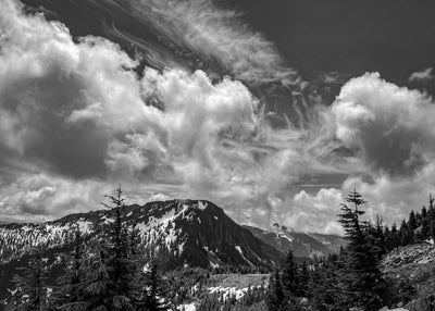 Thompson Point Drama #2